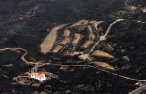 ep terreno quemado enel incendiogran canaria