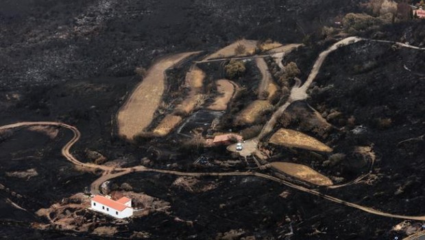 ep terreno quemado enel incendiogran canaria