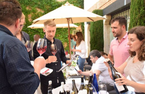 ep un total de 62 bodegas de la region establecen contacto directo con mas de un centenar de ep un total de 62 bodegas de la region establecen contacto directo con mas de un centenar de