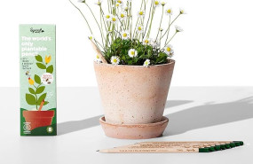 margaritasloveed margaritasloveed