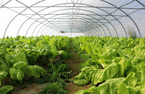 1625665351 lorra5 1625665351 lorra5