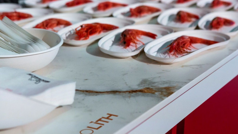 1639658039 imagen gala