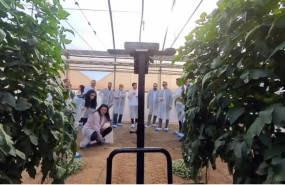 cajamar 20260212163947