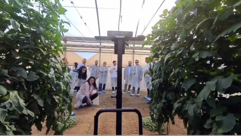 cajamar 20260212163947