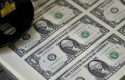 cbdolarsuministro short cbdolarsuministro short
