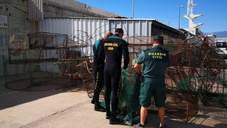 Agentes de la Guardia Civil. | GUARDIA CIVIL ep agentes de la guardia civil inspeccionan nasas ilegales en la costa de santa cruz de tenerife