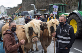 ep archivo   dos ganaderos con sus vacas durante una tractorada convocada por agromuralla en lugo