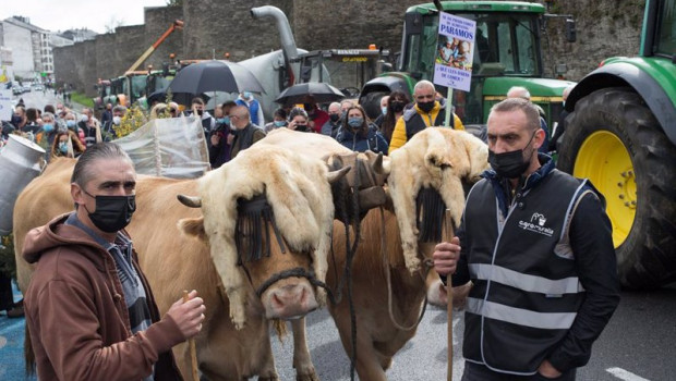 ep archivo   dos ganaderos con sus vacas durante una tractorada convocada por agromuralla en lugo