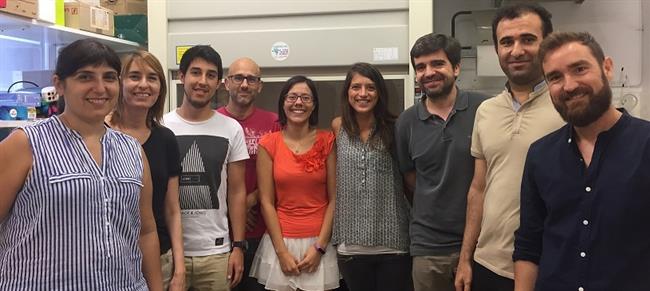 Investigadores de la Universidad de Barcelona presentan avance contra diabetes | UNIVERSIDAD DE BARCELONA ep investigadoresla universidadbarcelona presentan avancediabetes