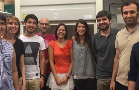 ep investigadoresla universidadbarcelona presentan avancediabetes