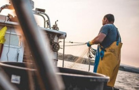 ep lonjas y pescadores