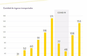 ep numero de organos trasladados anualmente por vueling desde 2013 cuando la aerolinea empezo a