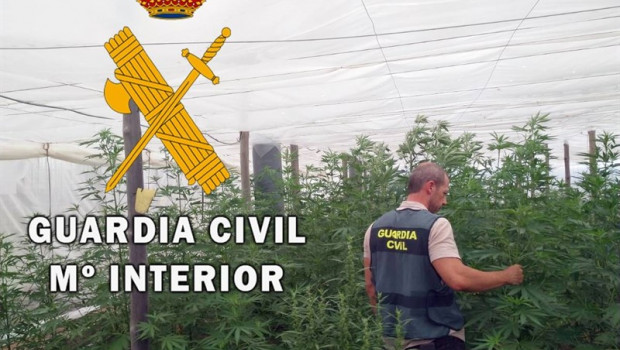 ep plantacionmarihuana localizadaun invernaderonijar almeria