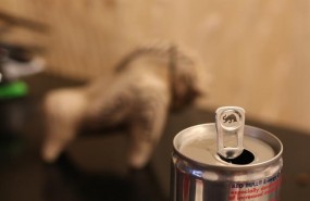 ep red bull lata