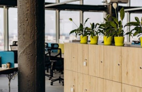 pexels pexels photo 8297854