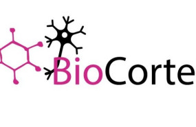 130543 1680004716540