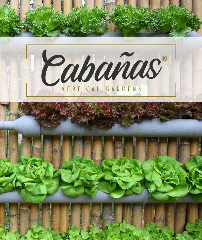 1583505635 jardines verticales