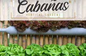 1583505635 jardines verticales