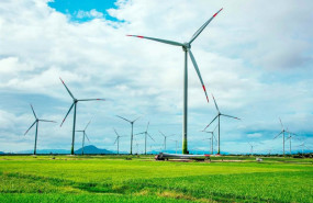 ep archivo   imagen de molinos eolicos