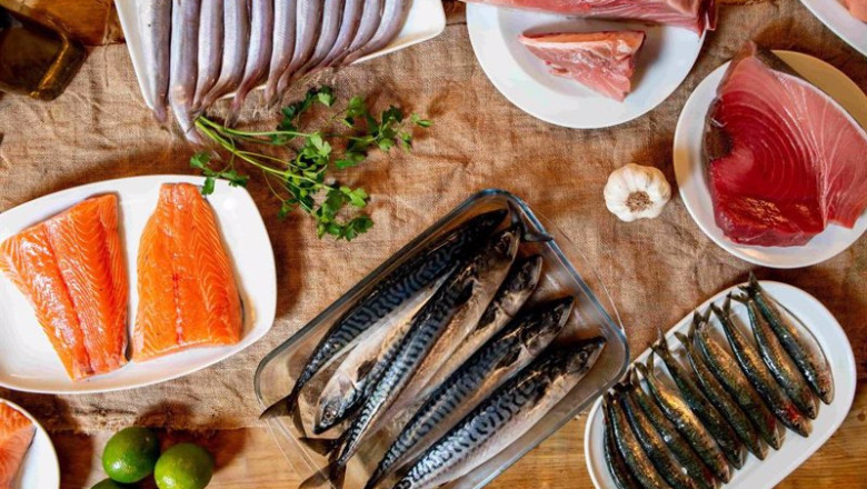 ep campana nos gusta el pescado ep campana nos gusta el pescado
