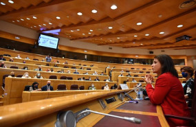 ep elena bernardez directora de movilidad electrica de endesa x en su intervencion en el senado
