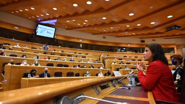 ep elena bernardez directora de movilidad electrica de endesa x en su intervencion en el senado