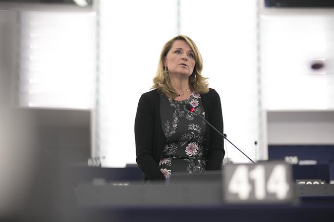 ep rosa estars eurodiputadapp