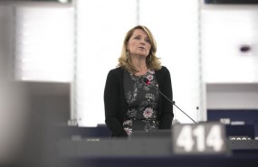 ep rosa estars eurodiputadapp