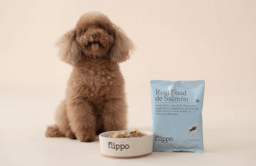 flippo models and dogs 11 v3 