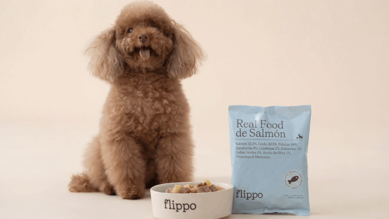 flippo models and dogs 11 v3 