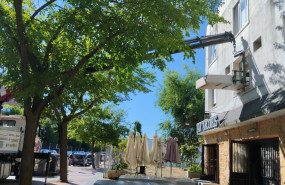 top courier enero 1 top courier enero 1