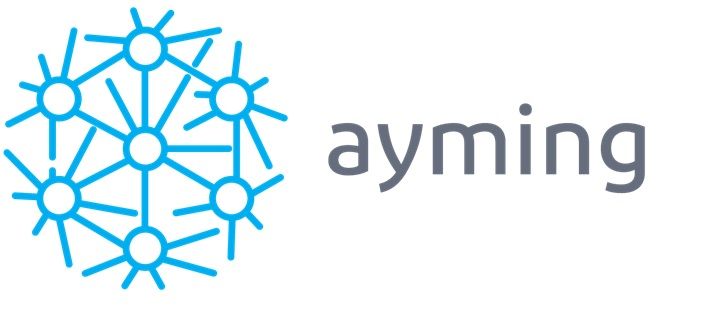 1561456912 logo ayming