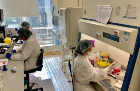 1582620345 histocell laboratorio baja