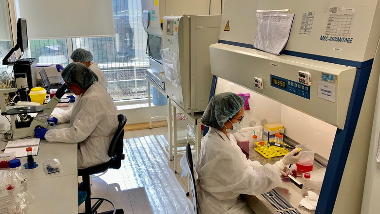 1582620345 histocell laboratorio baja