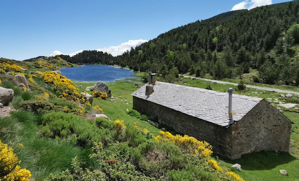 1592416865 captura de pantalla 2020 06 17 a les 195847