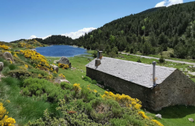 1592416865 captura de pantalla 2020 06 17 a les 195847