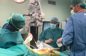 1634491240 en quir fano