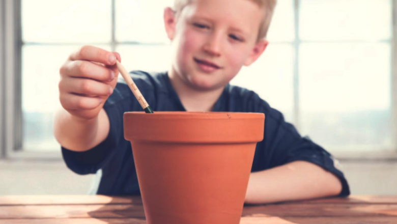 captura de pantalla 2024 06 06 a las 83641