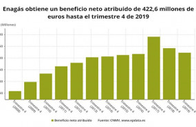 ep beneficio neto de enagas en 2019 cnmv