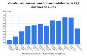 ep beneficio netoviscofansegundo trimestre2019 cnmv