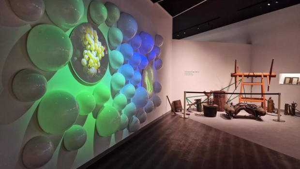 ep carinena wine museum ep carinena wine museum