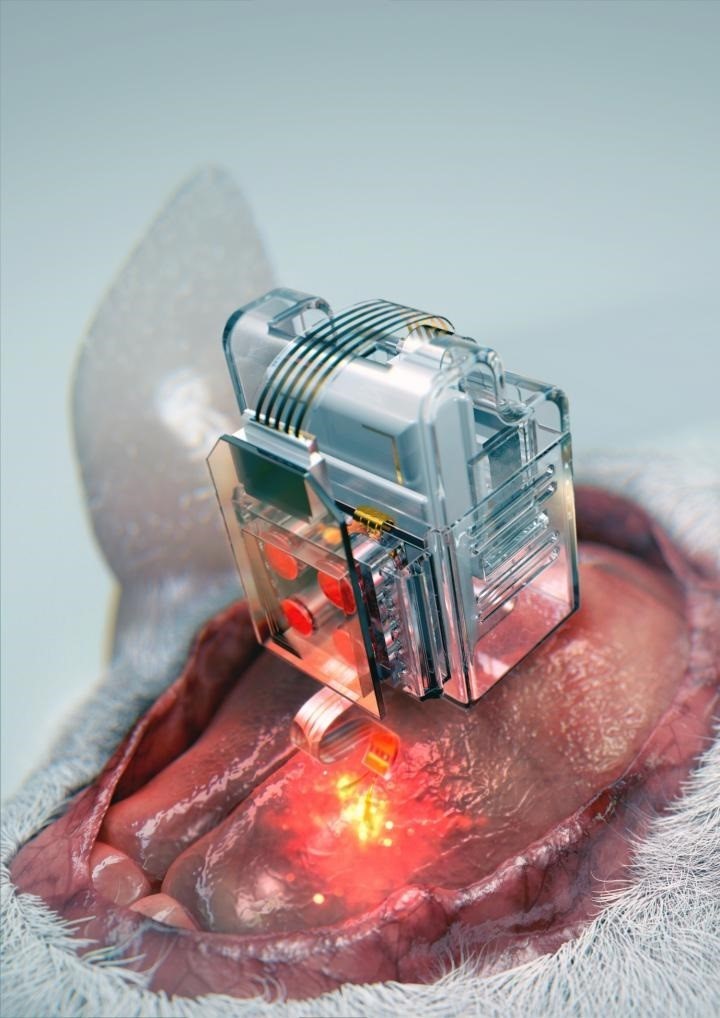 El dispositivo, utilizando cartuchos de fármacos reemplazables y 'bluetooth' de baja energía, puede examinar neuronas específicas mediante la aplkciación de luz y medicamentos durante períodos prolongados. | KAIST ep dispositivo utilizando cartuchosfarmacos reemplazables y bluetooth de baja energia puede examinar neuronas especificas medianteaplkciacionluzmedicamentos durante periodos prolongados