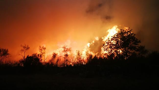 ep incendio forestallunesla serrasan mamede