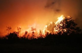 ep incendio forestallunesla serrasan mamede