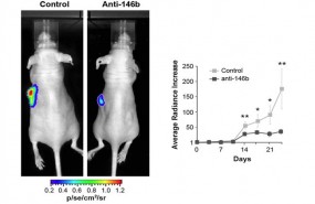 ep investigacioniib uamcsic