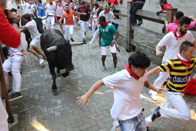 Octavo encierro de Sanfermines 2018 con toros de Miura. | DAVID DOMENCH/EUROPA PRESS ep octavo encierrosanfermines 2018torosmiura
