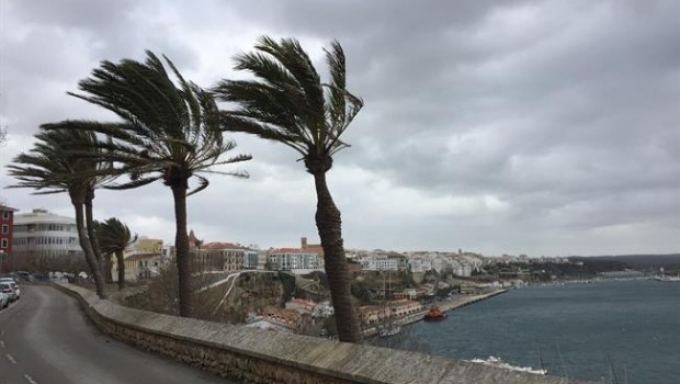 ep olasmenorca viento palmeras playa