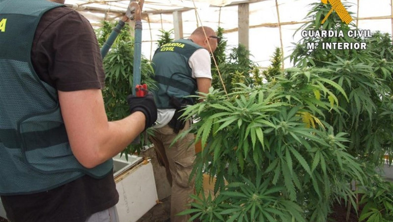 Operación 'Oquedad' de la Guardia Civil por la que se halla marihuana en una antigua explotación minera de Almería | GUARDIA CIVIL - Archivo ep operacion oquedad de la guardia civil por la que se halla marihuana en una antigua explotacion