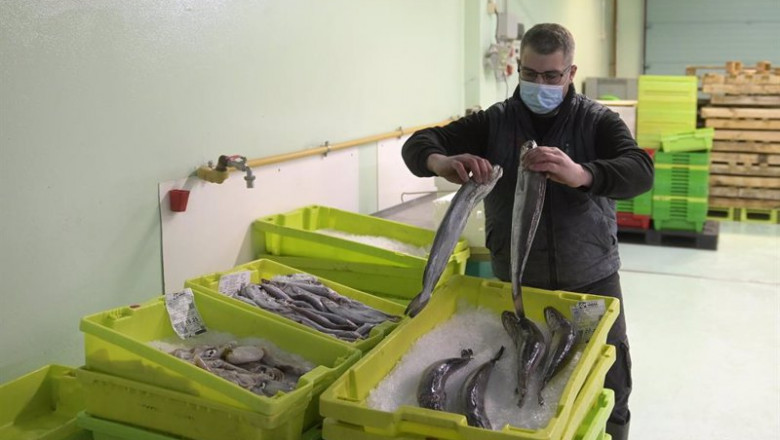 Un trabajador maneja pescado en cajas de plástico, en la lonja de A Coruña | M. Dylan - Europa Press ep un trabajador maneja pescado en cajas de plastico en la lonja de a coruna