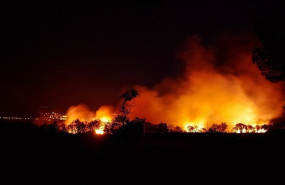 ep union de uniones critica que las ayudas de los incendios son un engorro burocratico y no llegan